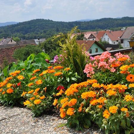 Gasthof Adler Guettingen Guttingen Екстер'єр фото