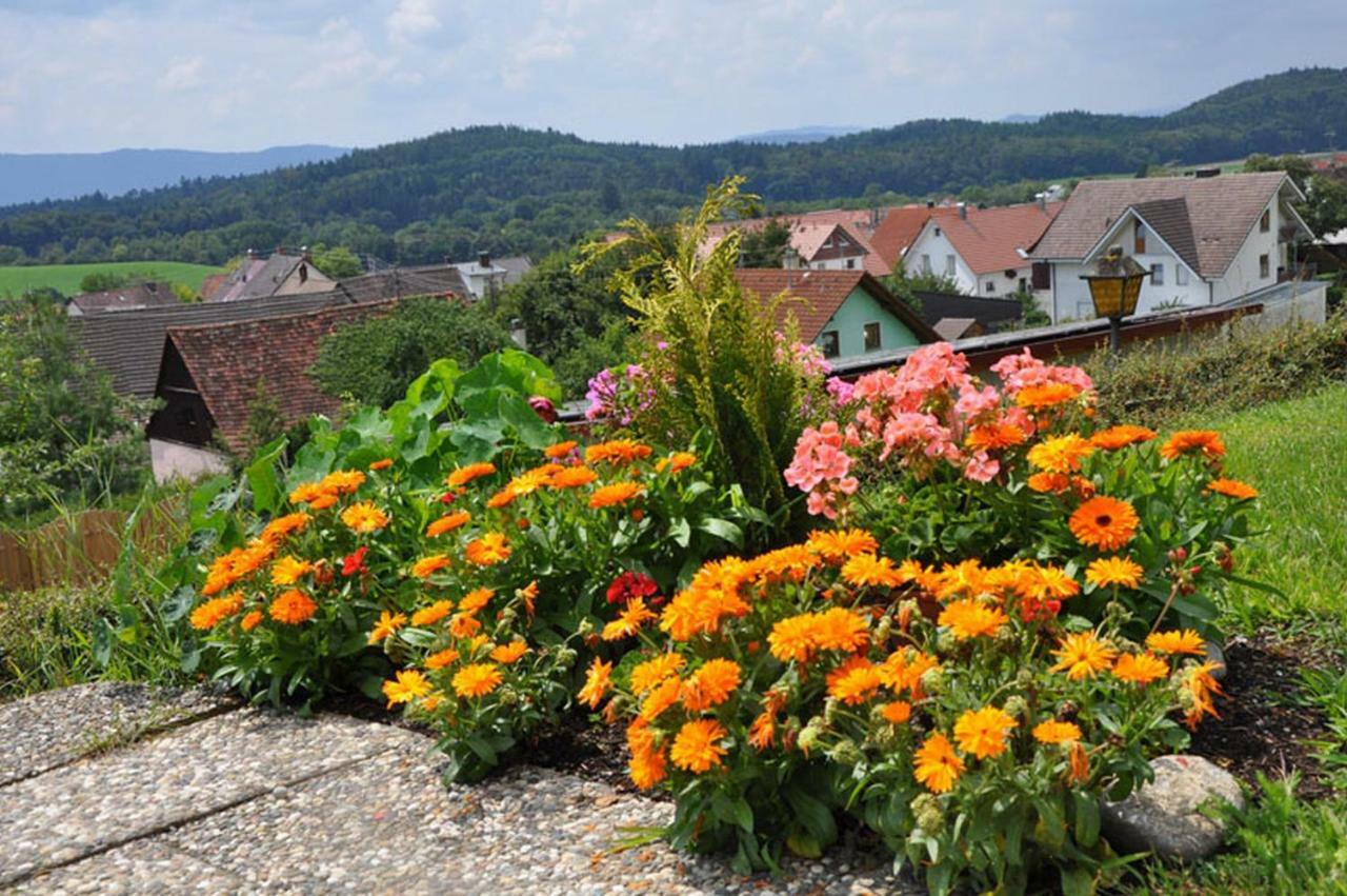 Gasthof Adler Guettingen Guttingen Екстер'єр фото